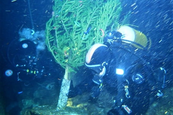 KPA Kostrena: U kostrensko podmorje položena okićena božićna jelka