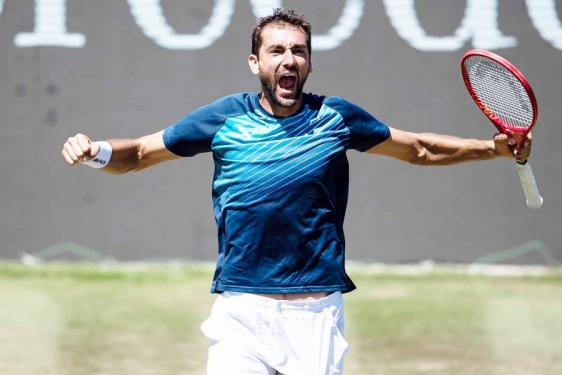 Marin Čilić