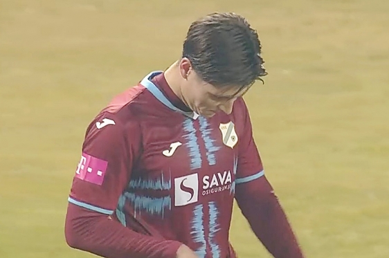 Sava Čestić