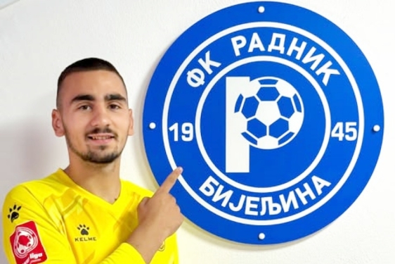 Srđan Nedić