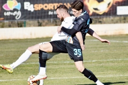 Sava Arangel Ćestić